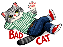 Bad Cat